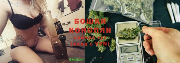 ГАЛЛЮЦИНОГЕННЫЕ ГРИБЫ Переславль-Залесский