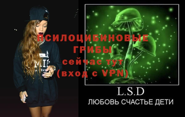 сатива Апатиты