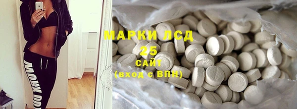 дживик Пересвет