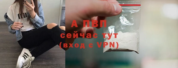 ГАЛЛЮЦИНОГЕННЫЕ ГРИБЫ Переславль-Залесский