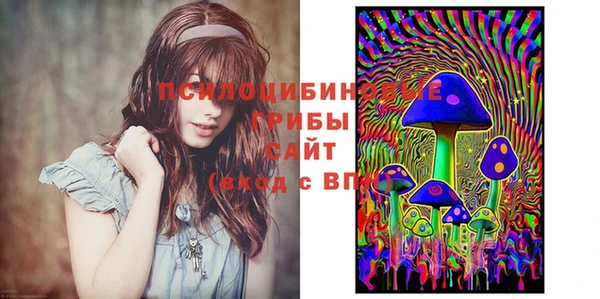 ГАЛЛЮЦИНОГЕННЫЕ ГРИБЫ Переславль-Залесский