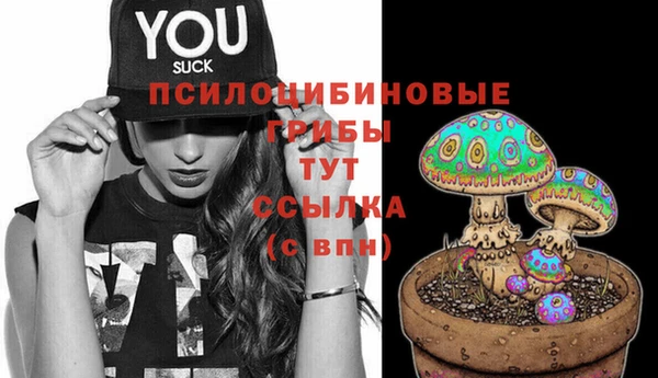 дурь Абаза