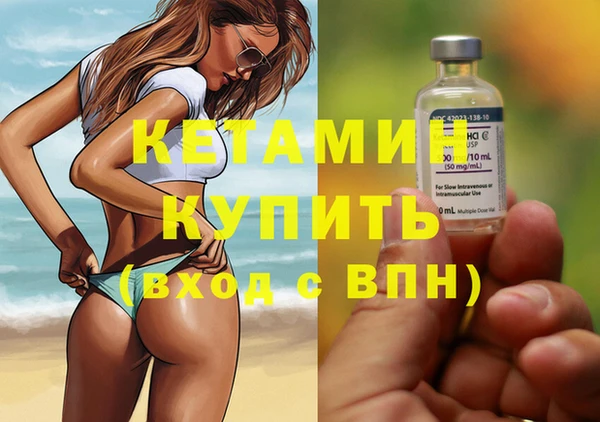шишки Пестово