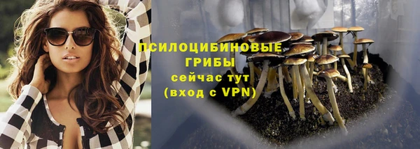 ГАЛЛЮЦИНОГЕННЫЕ ГРИБЫ Переславль-Залесский