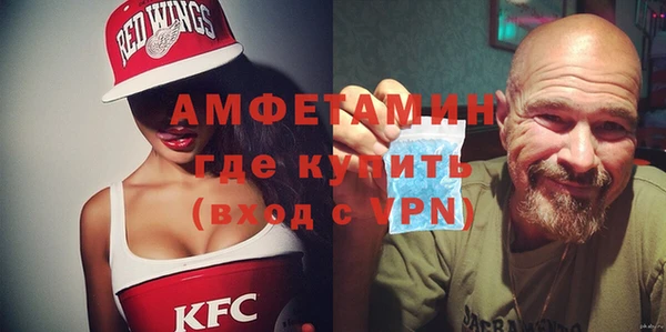 шишки Пестово