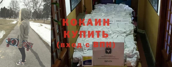 дживик Пересвет